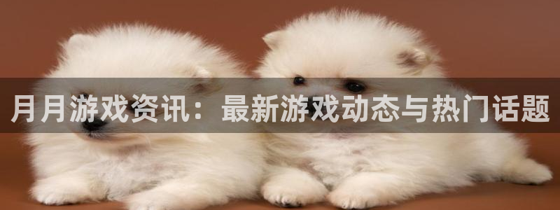 pg电子游戏爆分：月月游戏资讯：最新游戏动态与热门话题